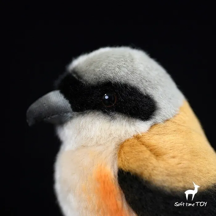 Fat Chirp Series,Lanius schach bentet,Pendant Knickknack,nicknack,Small ornaments and miniature models