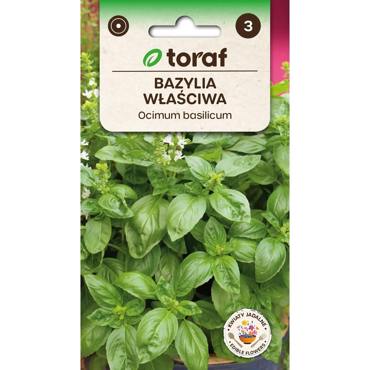 Basil Proper Basil Seeds of Herb GREEN Genovese 1G TORAF