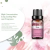 PHATOIL Pure Aromatherapy Essential Oil (10ml) 5