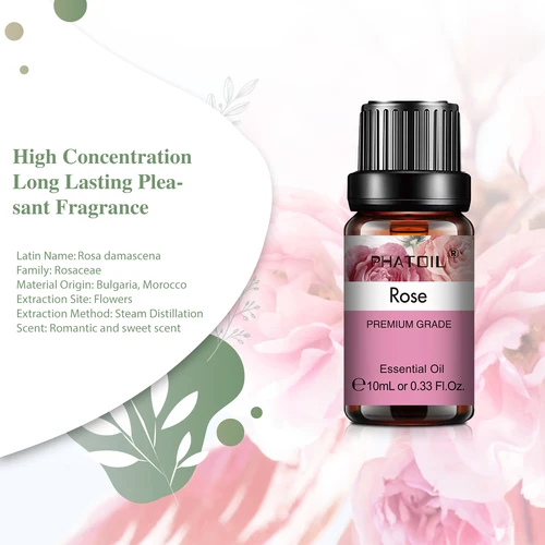 Fragrances & Deodorants