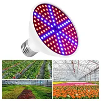220V E27 300LEDs Plant Grow Light Phyto Lamps Led Full Spectrum Growing Bulb for Greenhouse Hydroponics Growth Fitolampy