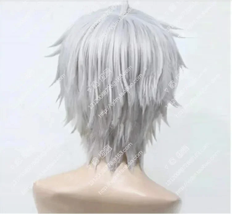 Hot sale Cosplay Wig Tokyo Ghoul Kaneki Ken Short Silver White High Temperature Fiber Hair Cosplay Costume Wig