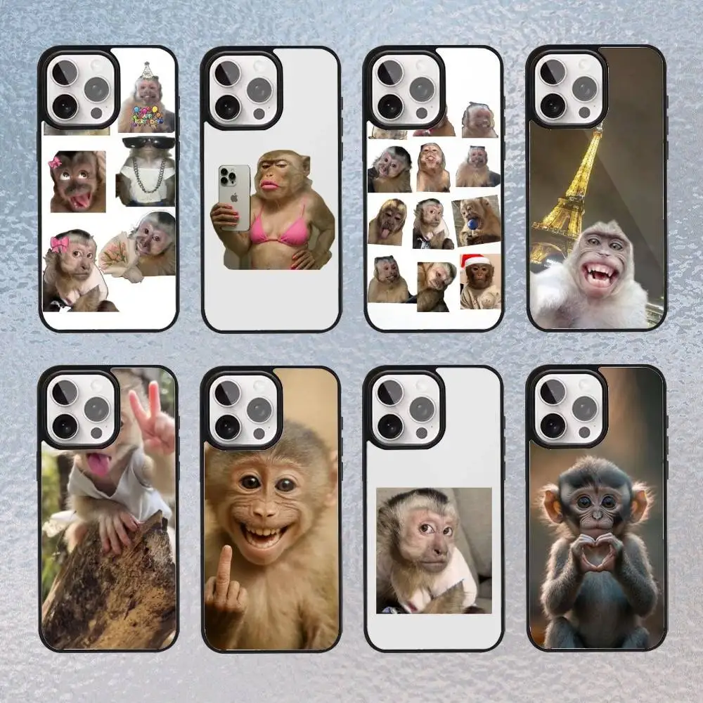 

Cute Funny Monkey Phone Case For iPhone17,16,15,14,13,12,11 Plus,Pro Max Magnetic Magsafe Wireless Charging