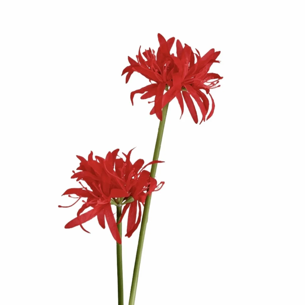 

2 Heads Artificial Higanbana Flower Realistic Real Touch Artificial Silk Flower Handmade Faux Flowers Simulation Lycoris Flower