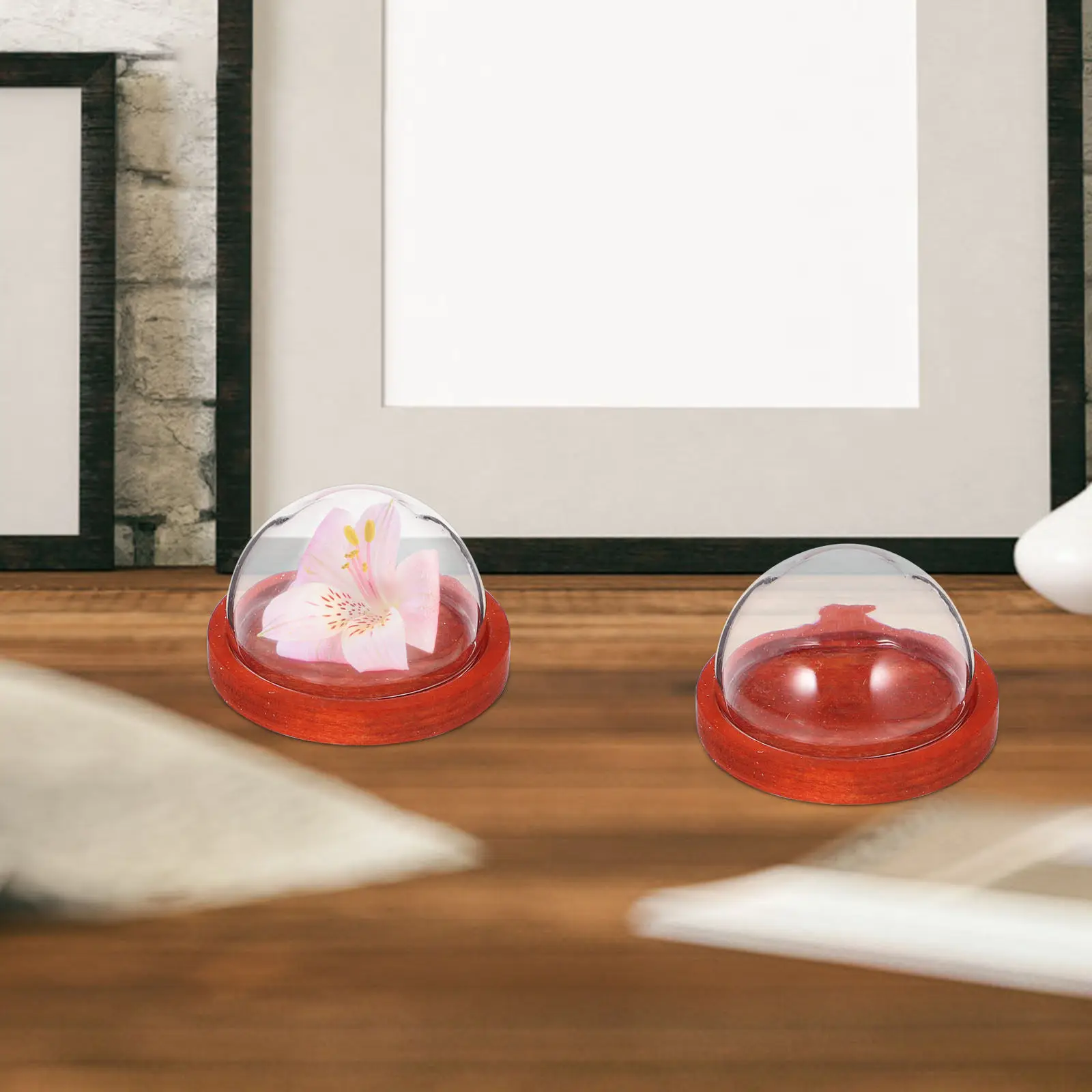 3pcs Eternal Flower Glass Dome with Wooden Base – Mini Cloche Display Case for Home, Office, Table Decor