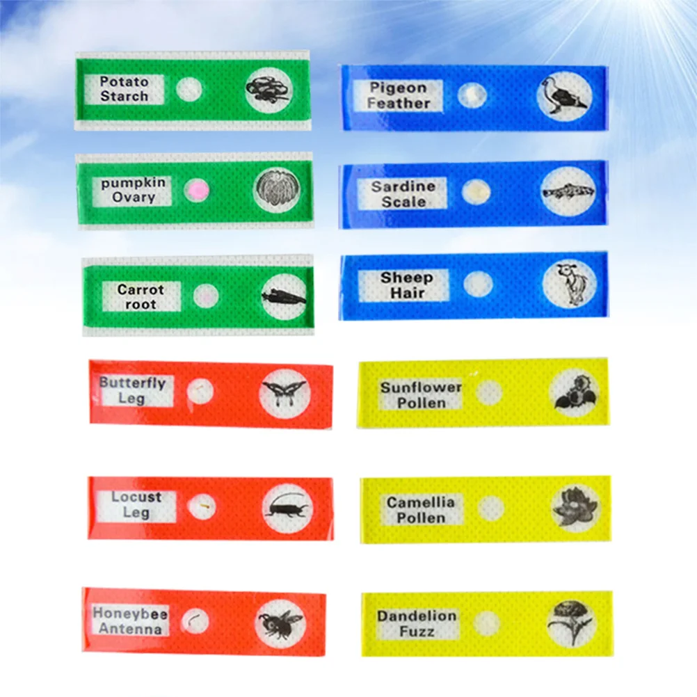 Lames de Microscope en plastique, 12 pièces, spécimen biologique préparé, étiquettes colorées pour l'éducation des étudiants, l'entomologie à domicile des enfants