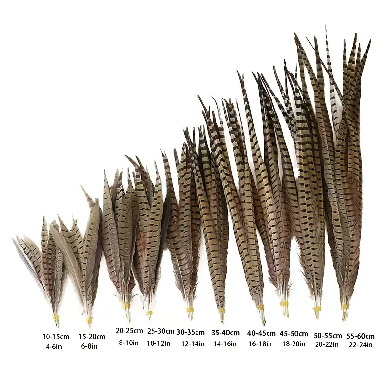 

Natural Pheasant 10/30/50Pcs Tail Feathers Hats Head Wear Centerpieces for Wedding Decorations Feather Plumes Party Deancing
