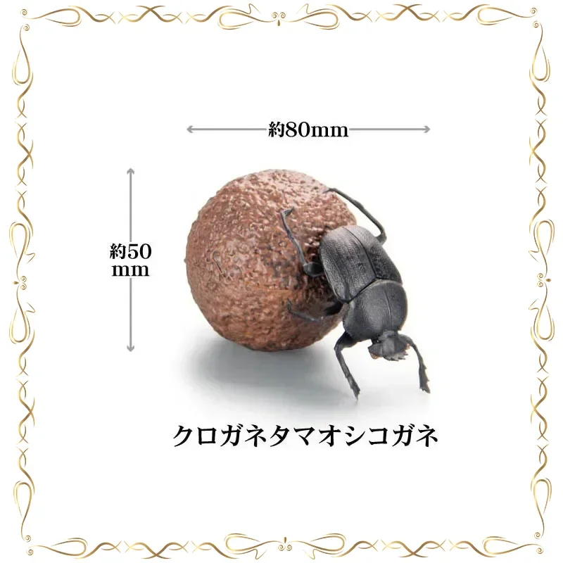 

Geotrupidae Scarab Beetles Insects Series Collection Ornament Children's Day Gifts Gashapon EX CASHAPON Action Figure Model Toys