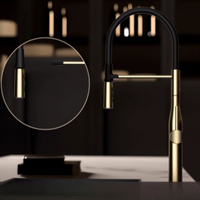 Nickel Pull Out Kitchen Faucet Brushed Gold Sink Faucet Mixer Tap 360 degree rotation torneira cozinha mixer taps Kitchen Tap