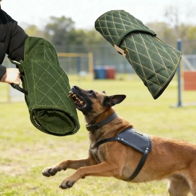 German Shepherd Mal…