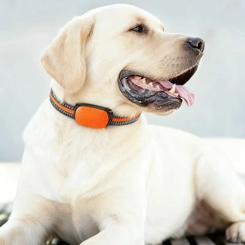 4G pet locator GPS Beidou cat, dog and sheep positioning anti-lost waterproof collar grazing reservation tracker.