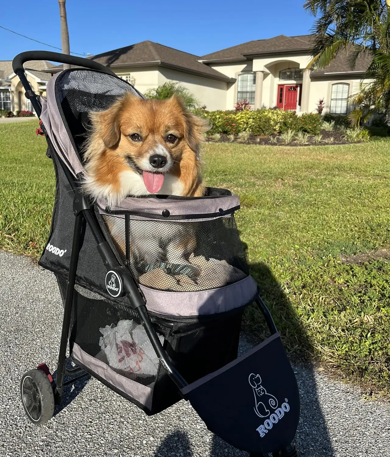 Escort 3Wheel Dog Stroller Cat Stroller Pet Stroller for Small Dogs and Cats with Removable Liner Storage Basket