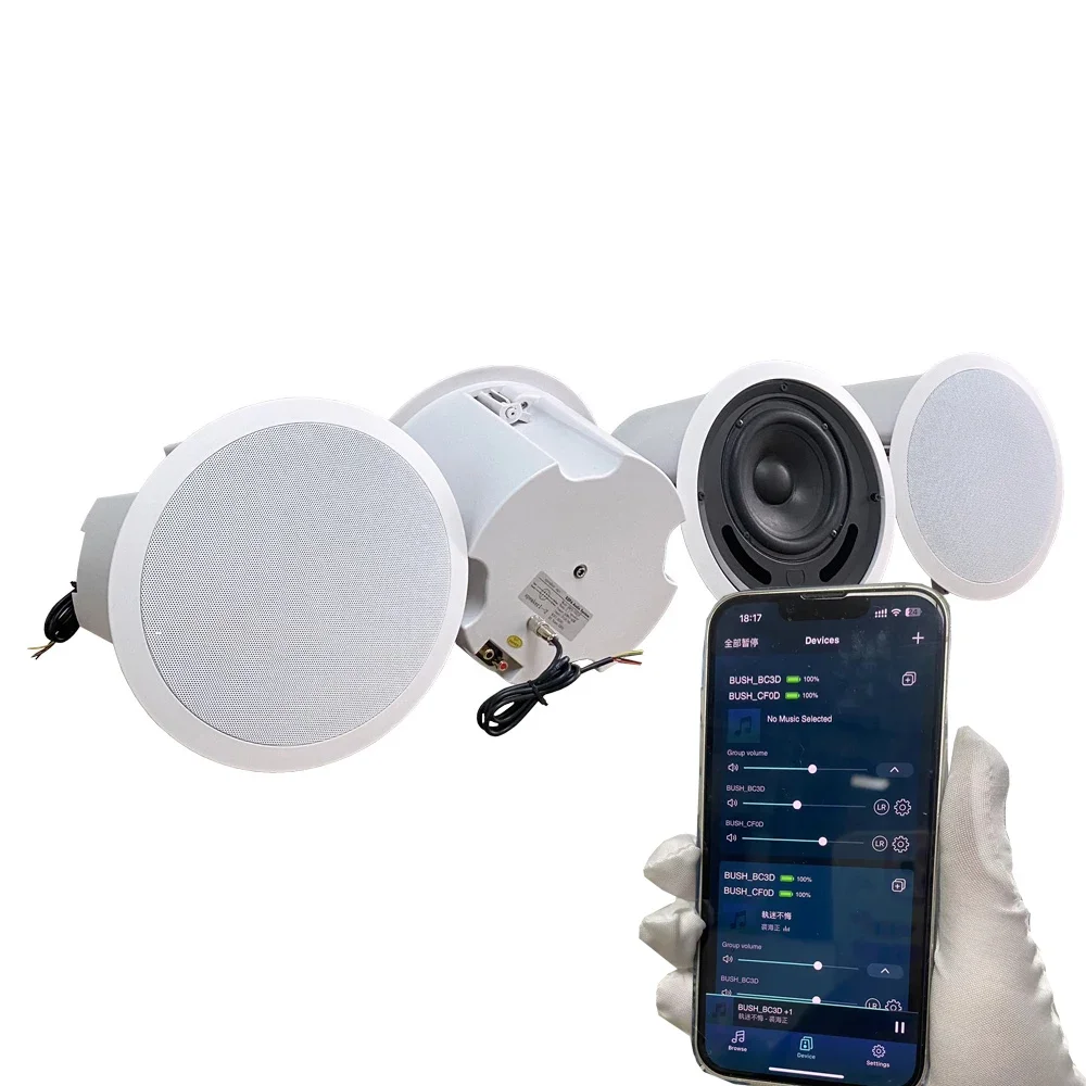 

Mobile APP MUZO WIIM TUYA Control WIFI Smart ceiling speaker 5.1 7.1 TV Multi-channel and multi-room Cinema speaker