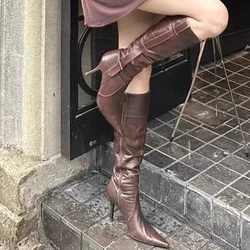 Brown Pointed Toe Knee High Boots Stiletto Heels Side Zip Fitting In Vintage Women Sexy Punk Casual Shoes for All Seasons