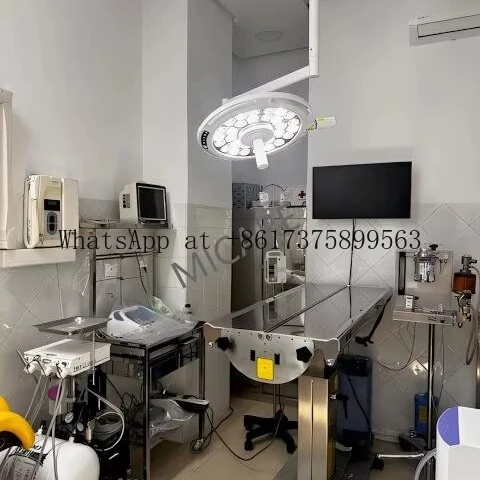 Certified LED Veterinary Shadowless Professional Hospital Clinic Operating Illumination Light for Animal
