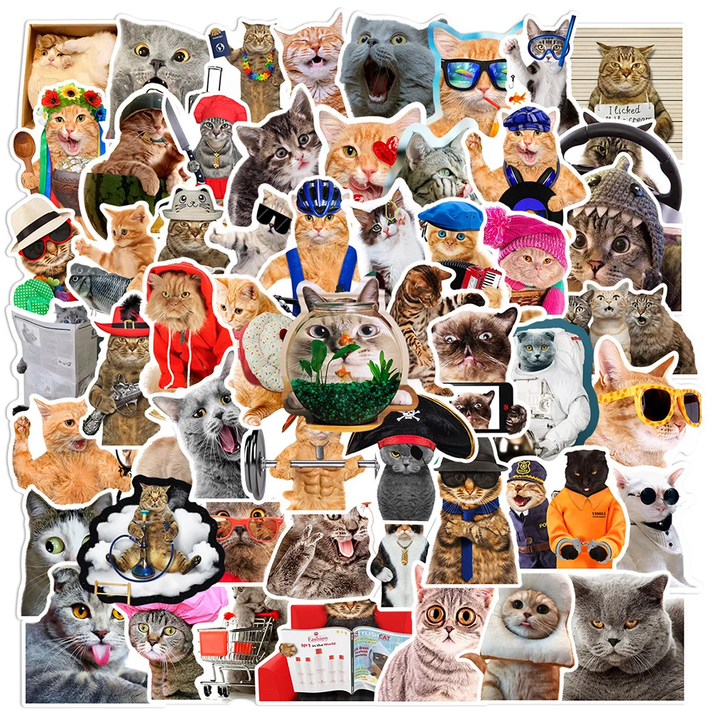 10/30/66pcs Funny Animal MEME Joke Stickers for Kids Toys Waterproof Graffiti Laptop Skateboard Phone Case Cute Decoration Decal