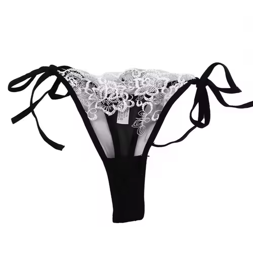Ladies Women Embroidery Transparent Lingerie Lace Panties Underwear Panty Brief - Image 9