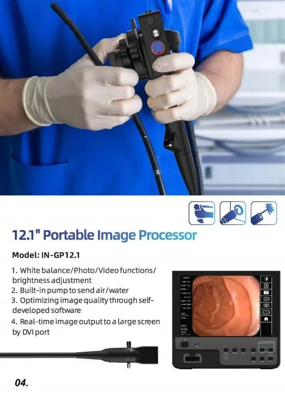 IN-GP12 Veterinary Endoscopy Equine/horse/ Gastroscope Digital Endoscope And Colonoscope Camera System For Big Animal