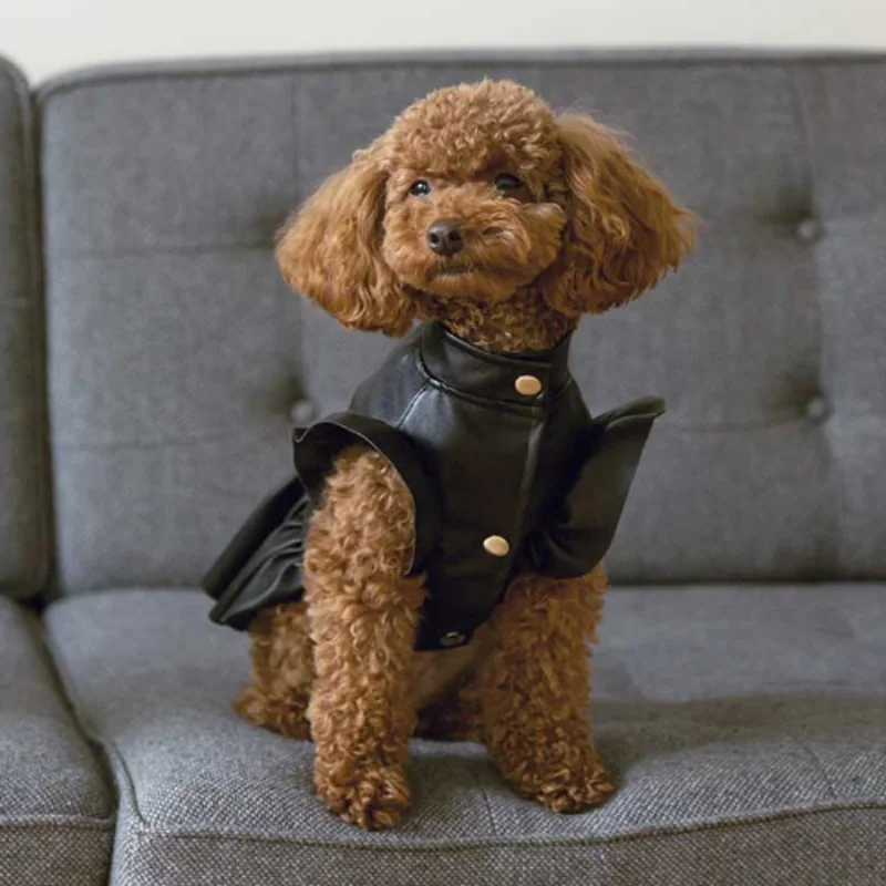 Leather Coat for Pet Lovers, Small and Medium-sized Dog, VIP Bixiong, Pomegi Doll, Spring and Autumn Wear