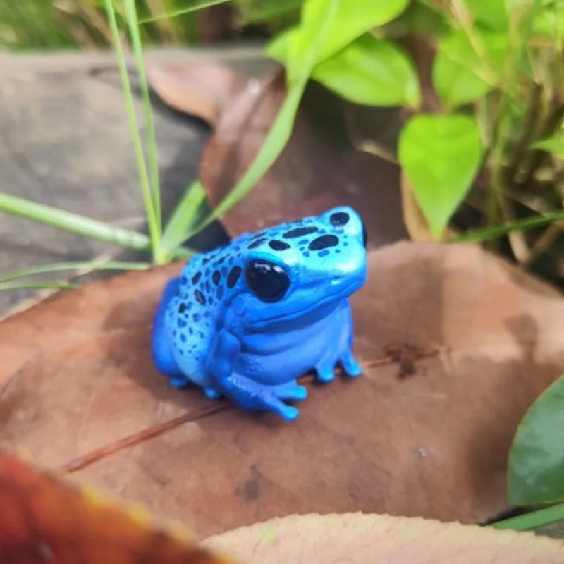 Royi Store Animal Red-Eyed Tree Frog Milk Frog Tree Frog, Home Decorations, Gifts for Boys and Girls 2026 New Product