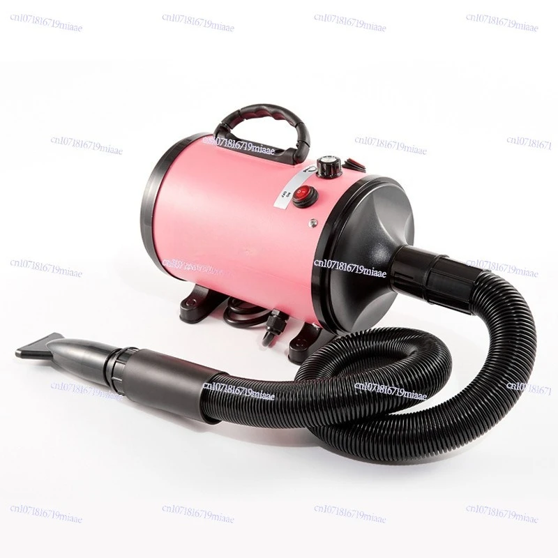 High Power Low Noise Pet Water Dryer Dog Hair Dryer for Large Dogs with Hair Drying Box
