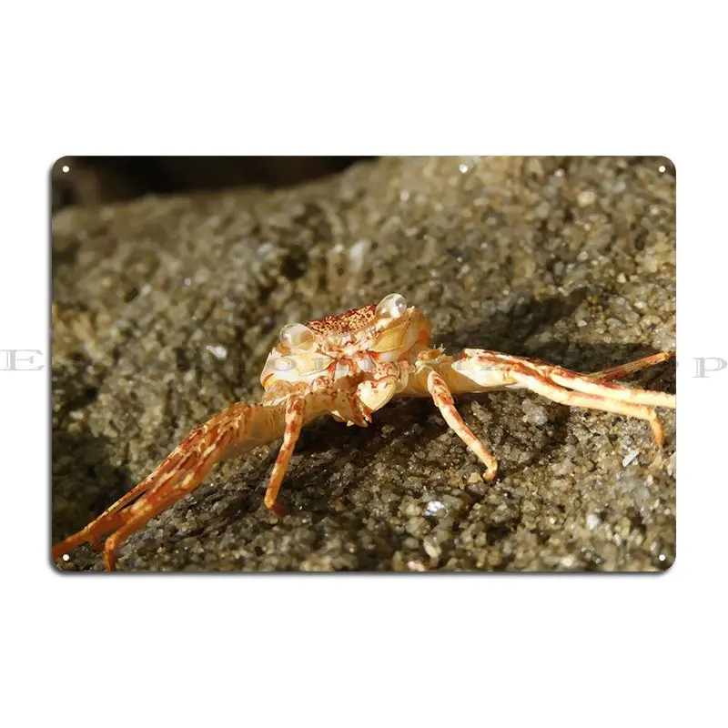 Crab Metal Sign Design Bar Cave Living Room Living Room Tin Sign Poster