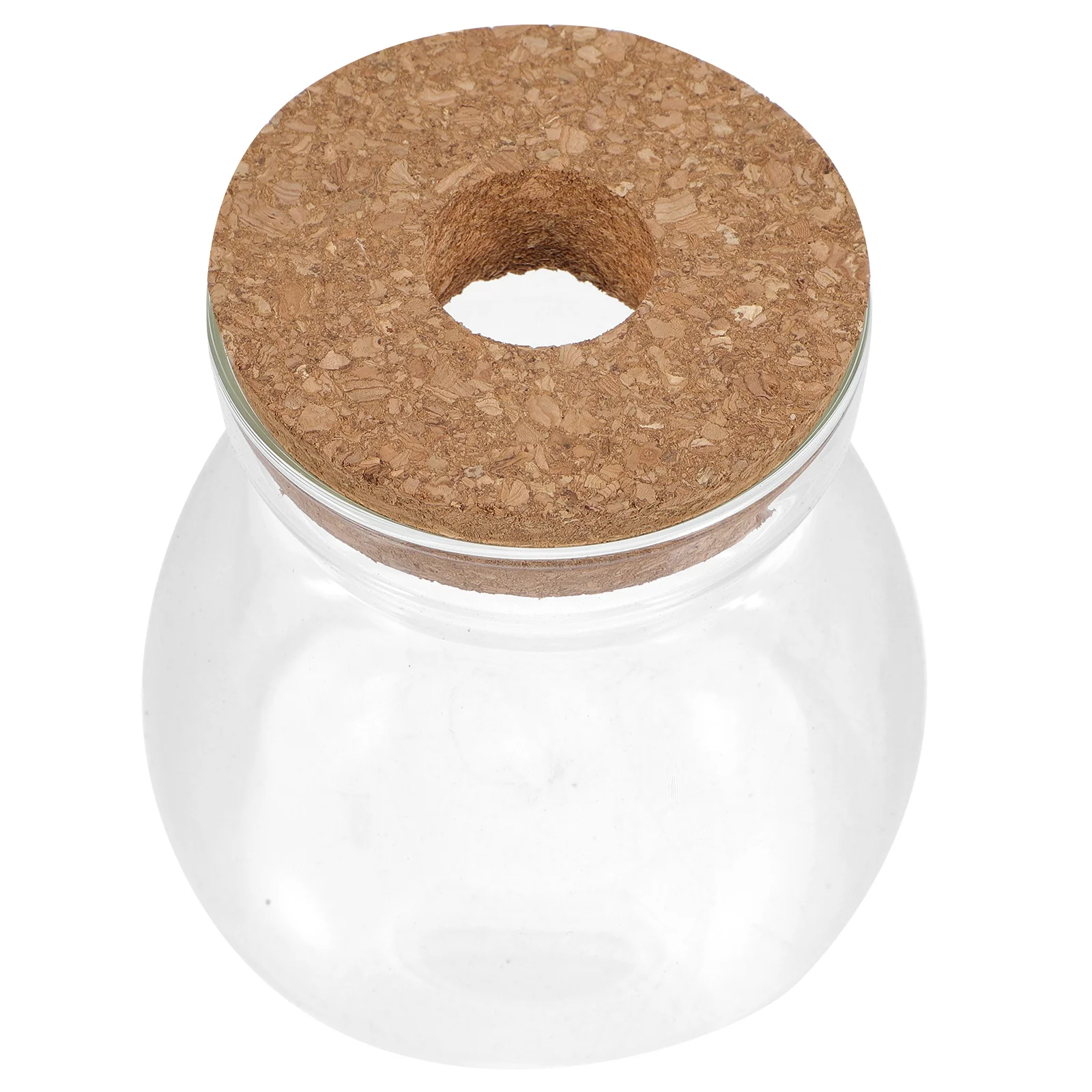 

Terrarium Jar Glass Terrarium Hydroponic Plant Container Ecosystem Container Size M Decorative Micro Landscape Moss Plants