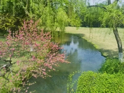 アルミニウム金属合金アップグレードパーツ MJX 1/10 10208 V1 V2 RC クローラーカーフロントリアステアリングカップ C シート用