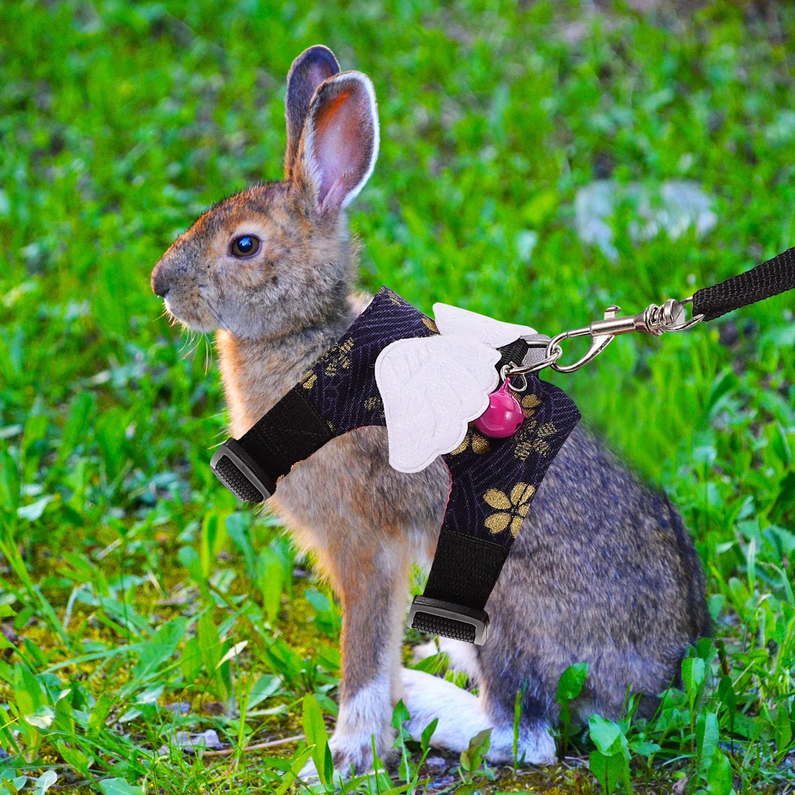 

1 set 1 Set Guinea Pig Harness Small Animal Vest Leash Pet Supplies Lightweight Comfortable Wearable Outfit For Indoor Outdoor