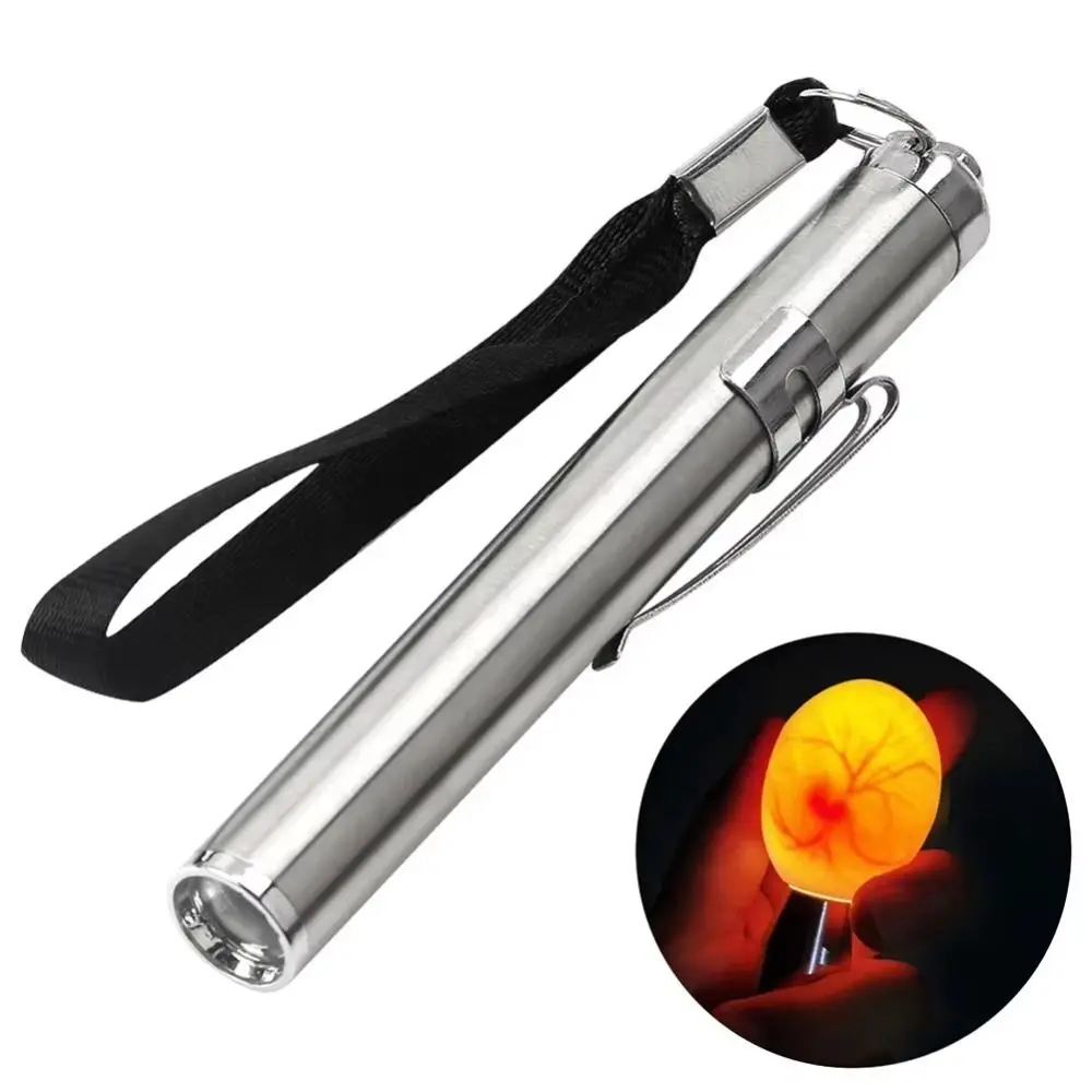 Stainless Steel LED Egg Detector Lamp Cold Light with Flashlight Incubator Eggtester LED Light