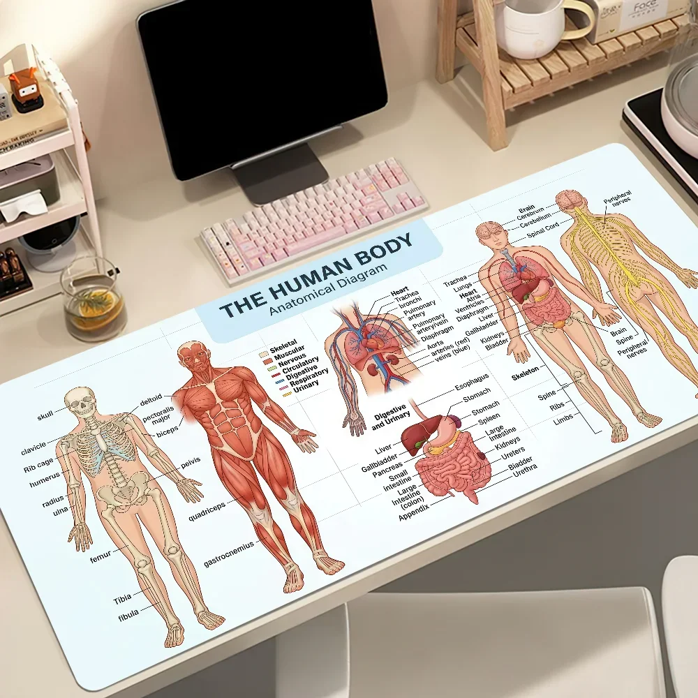 Diagram Human Anatomical Structures Mouse Pad MousePad Computer Desktop Large Non-slip Lockedge Desk Mat Keyboard Office Gamer