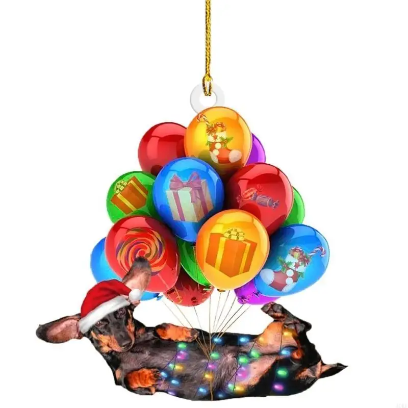 A0KE Sausage Dog Ch…