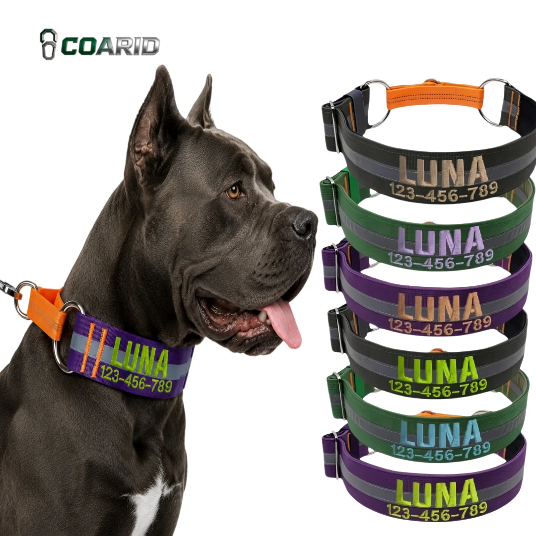 Personalized Reflective Dog Collar with Embroidered Name and Phone, Adjustable Anti-Pull Nylon Collar for Small Medium Large Dog