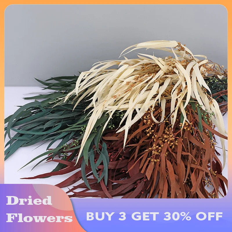 

(BUY 3 GET 30% OFF) 30g Real Eucalyptus Leaves Natural Preserved Plant Dried Flowers Bouquet Wedding Home DIY Bouquet Gift