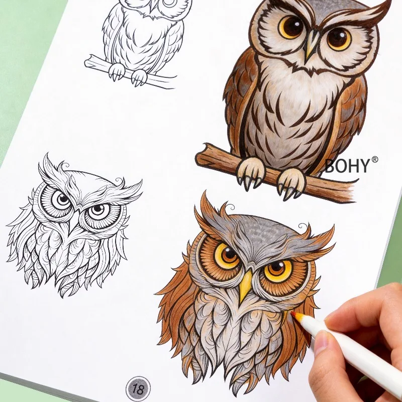 1 Animal Sketching and Coloring Book, 24 Pages, Zero Foundation Animal Painting Practice, Home Leisure Hand Drawing, Good Gift