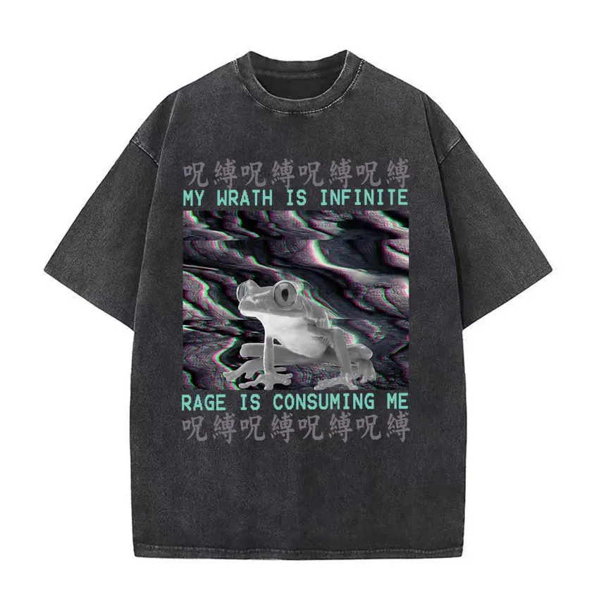 

My Wrath Is Infinite Rage Is Consuming Me T Shirt Japanese Tree Frog Funny Meme T-shirt Men Vintage Washed Casual Oversized Tees