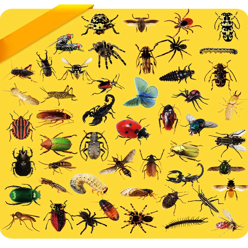 10/30/50pcs Transparent Insect Sticker Animals for Suitcase Notebook Skateboard Fridge Laptop PVC Graffiti Sticker Decals Packs