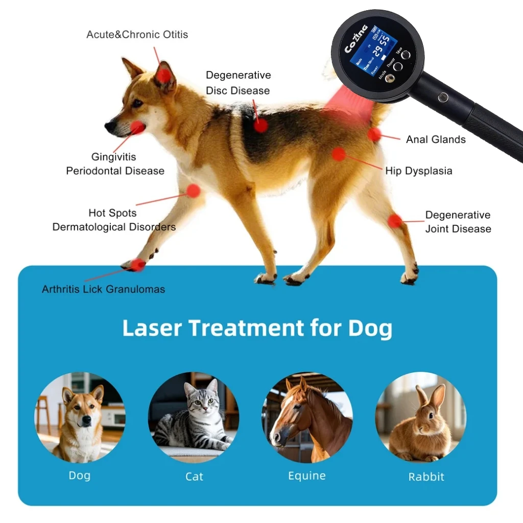 

Профессиональный аппарат для холодной лазерной терапии животных - 1295 мВт, устройство для реабилитации домашних животных при болях в суставах, заживлении ран и воспалениях