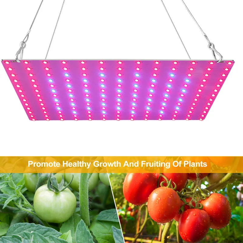 Full Spectrum LED Grow Light For Seedlings Growth Light Samsung LM281B For Indoor Plant Grow Tent Veg Flower Bloom Phyto Lamp