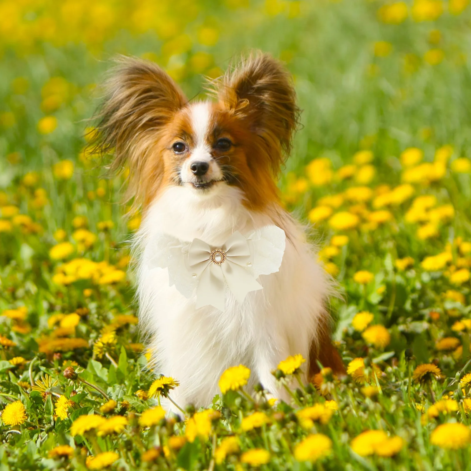 

Dog Bib Stylish Pet Wedding Scarf Adjustable Comfortable Saliva Towel for Photos Parties Holiday Decor Puppy Neckwear Pet Party