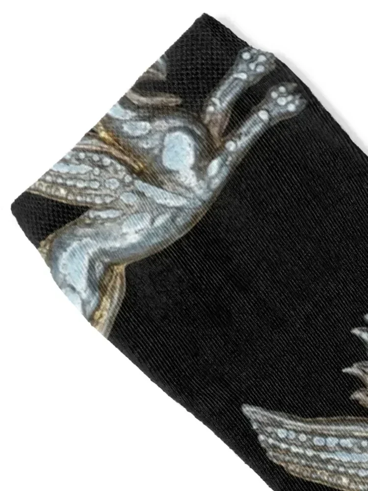 Leaping Griffin from 79 BC Denarius Socks set designer Women Socks Men's