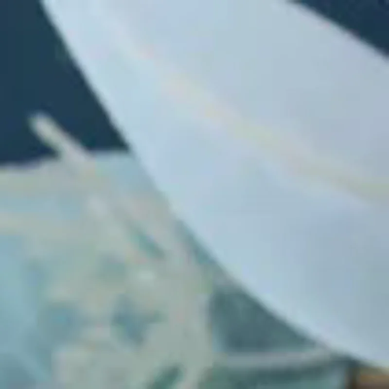 

Инструменты для массажа лица, акупунктурная ручка для глаз, Гуа Ша, массажер для ухода за кожей лица, палочки в форме стручка лотоса, лифтинг лица, красота