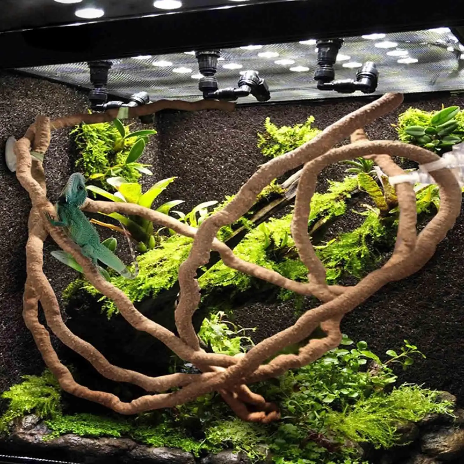 Lezecké vínky pre habitat plaz, flexibilné príslušenstvo pre Bearded Dragon Lezecké vínky pre habitat plaz, flexibilné príslušenstvo pre Bearded Dragon