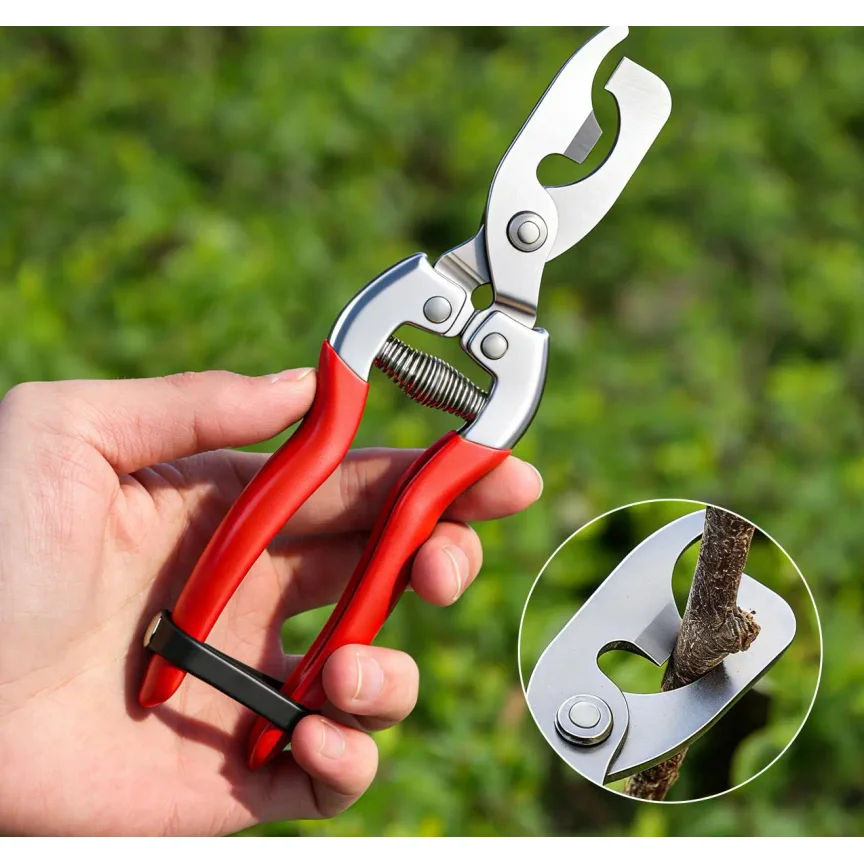 Multifunctional 2-headed Bud-notching Shears Pruning Shears Hand Pruner Clippers Horticultural Bud-promoting Tool girdling shear