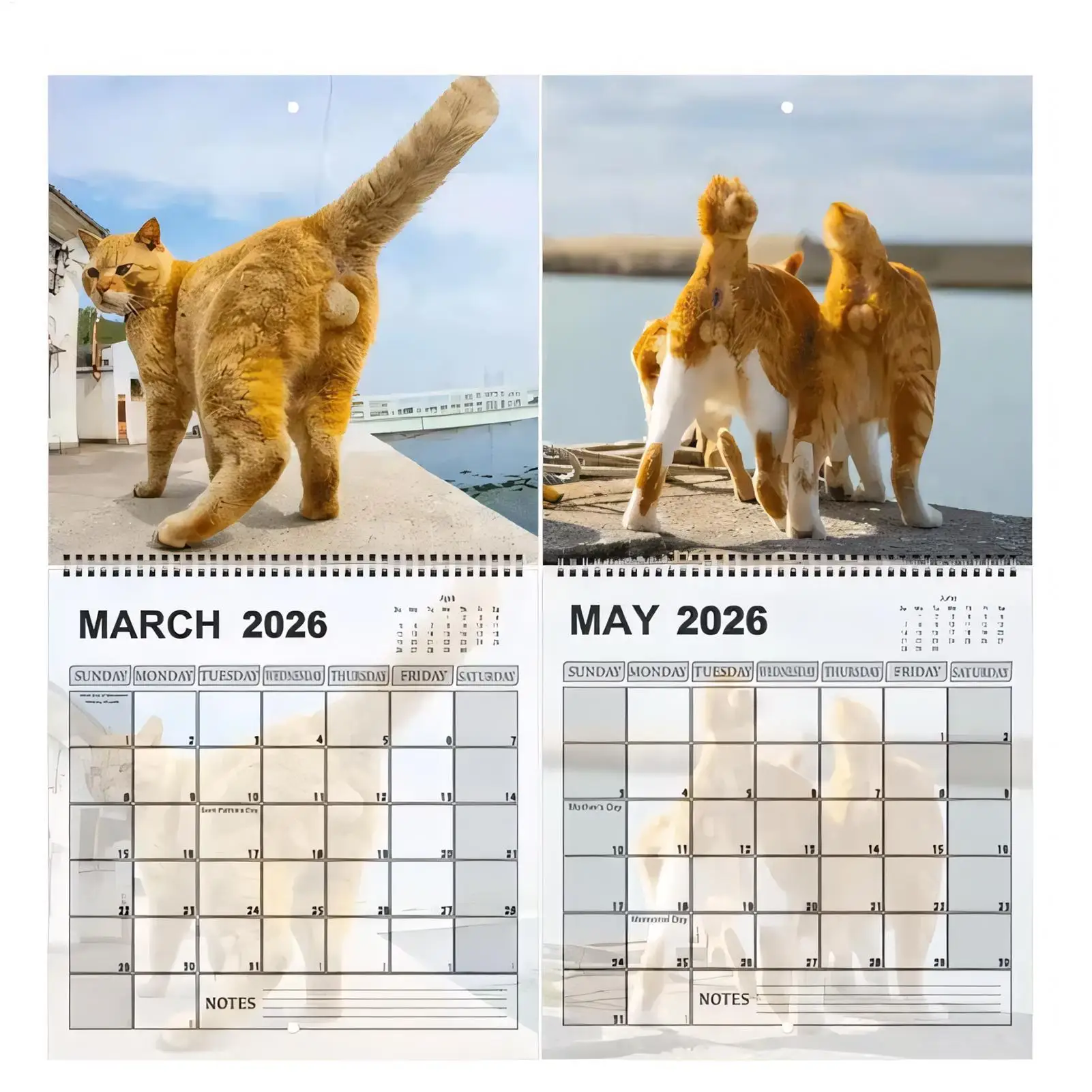 2026 Wall Calendar 12 Month Cat Balls Calendar 2026 Monthly Planner Organizer Scheduling Tool 29x23cm Calendar  for Desk Bedroom