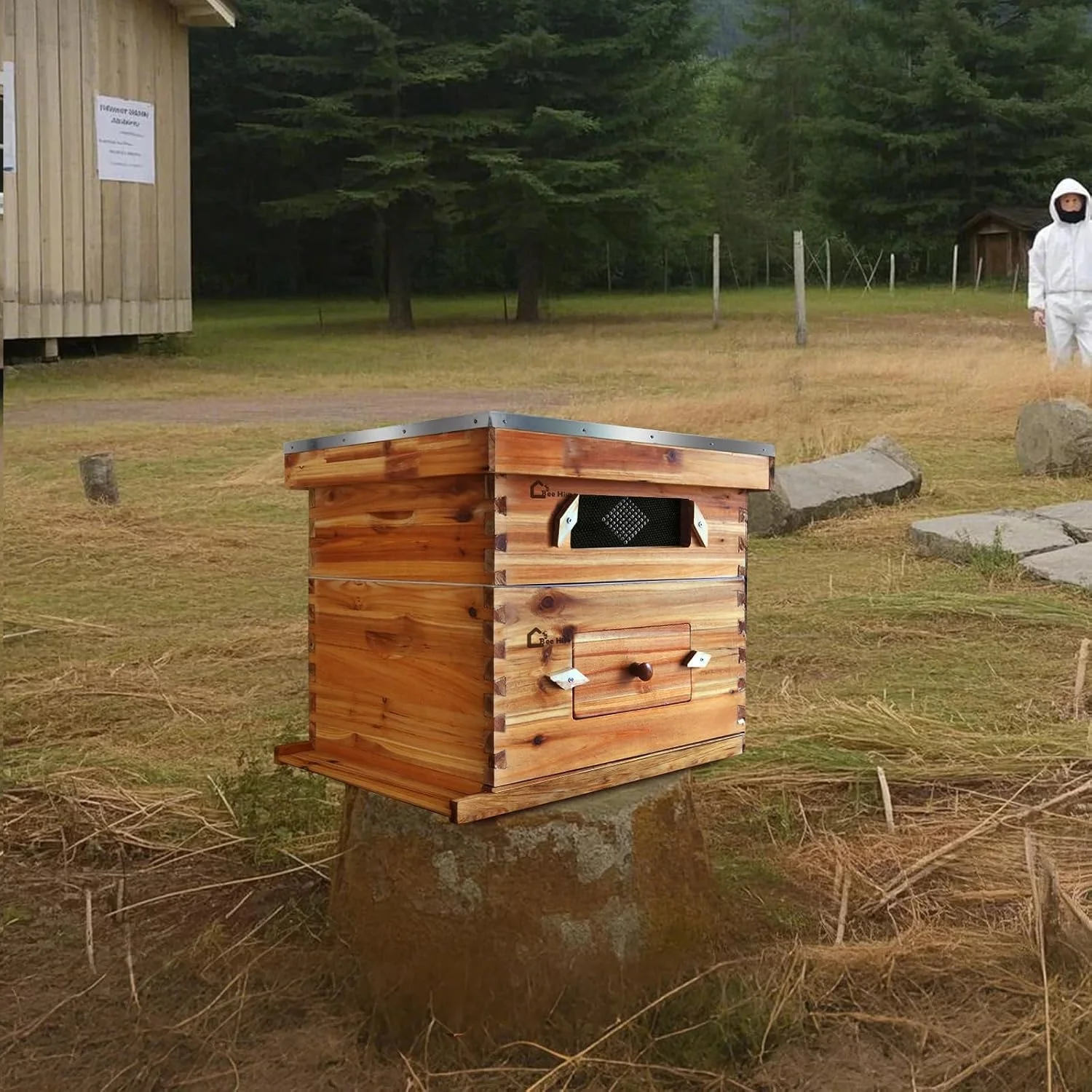 Ensemble de ruche en bois de cèdre - 10 cadres en nid d'abeille recouverts de cire d'abeille, joint à queue d'aronde - ensemble complet pour apiculteurs débutants