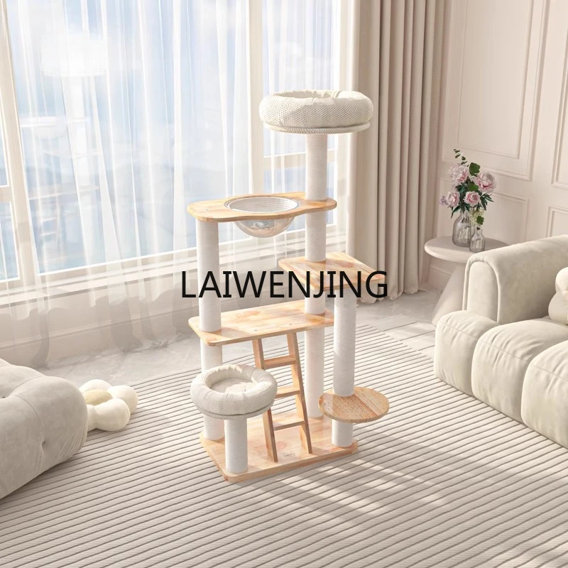 Mjy Cat Climbing Fr… - image