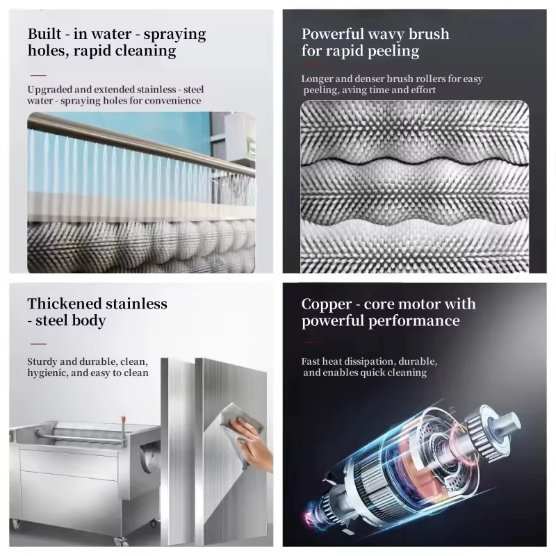 مقشرة البطاطس الحلوة - معدات تقشير تنظيف خضروات الفاكهة على شكل غسالة، متوافقة مع الماء، إعداد الطعام التجاري