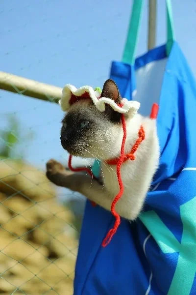 

4pcs 1.0" Metal Beadlock Wheel Tire Set For 1/18 RC Crawler Car TRX4M SCX24 Upgrade Parts Accessories