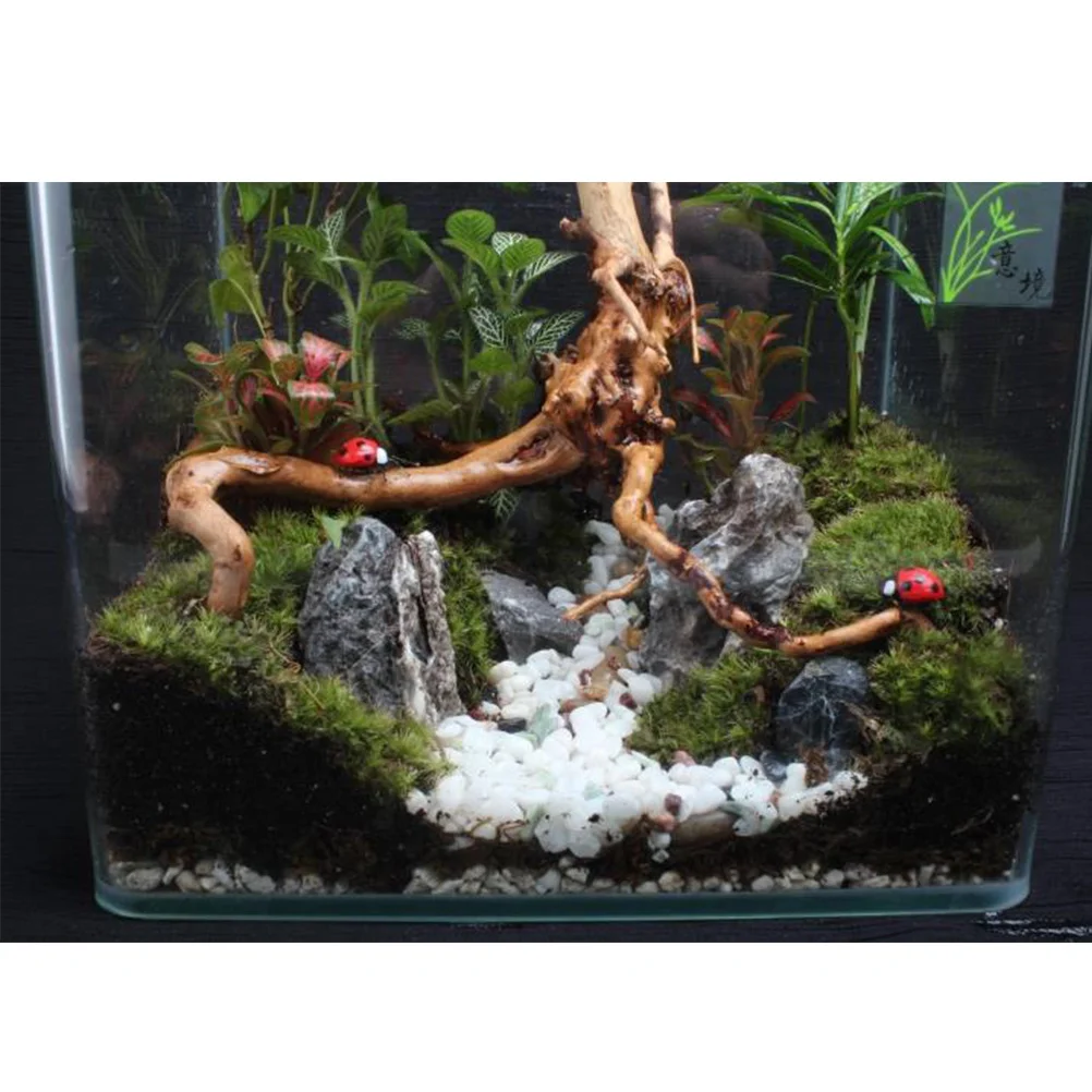 

Mini Rhododendron Tree Wood Micro Landscape Ornament Fish Tank Decor Aquarium Landscaping Accessories
